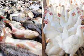 সপ্তাহের ব্যবধানে বেড়েছে মাছ-মুরগির দাম